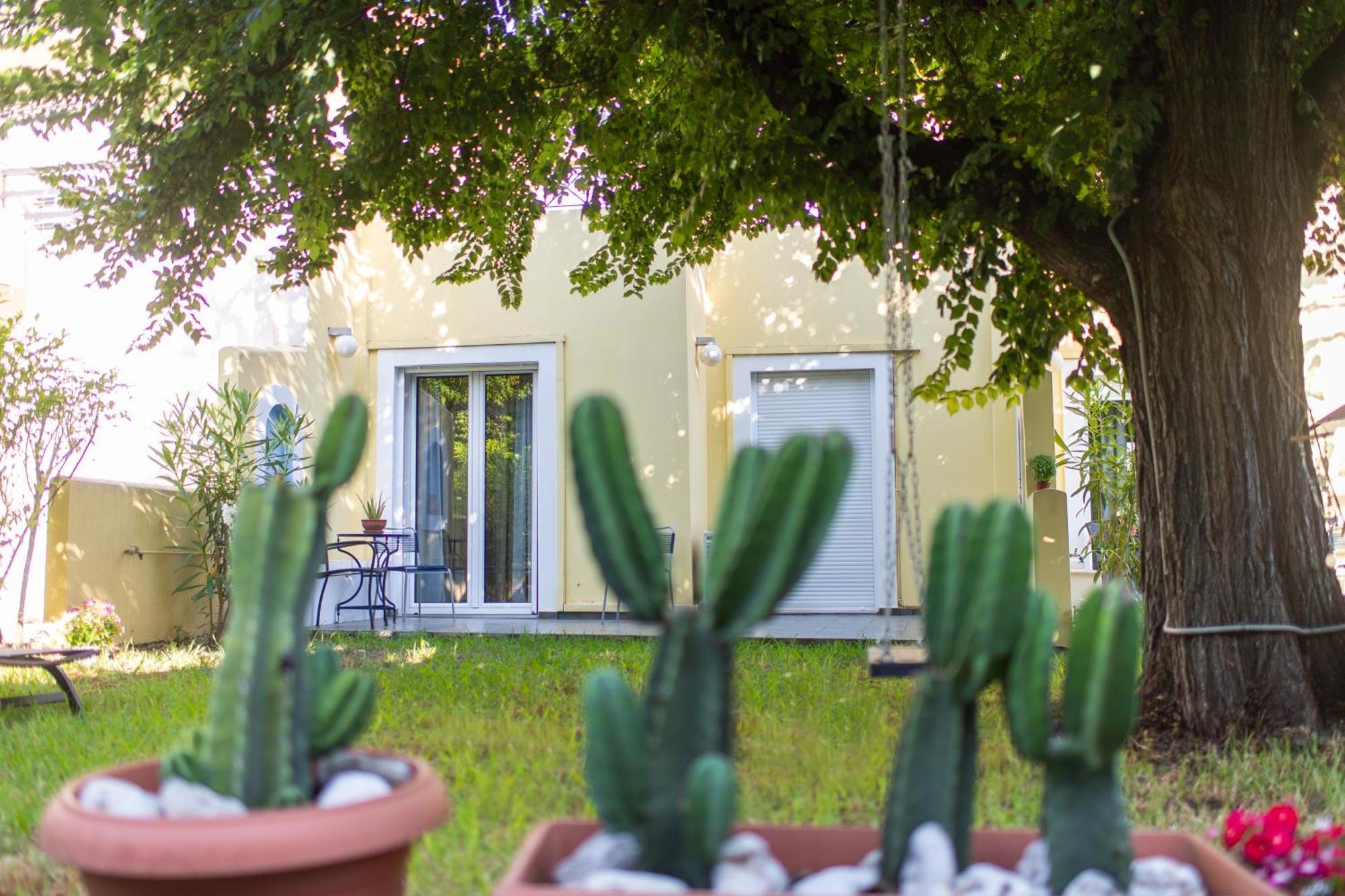 Amarylis Apartments Elaionas  Kültér fotó